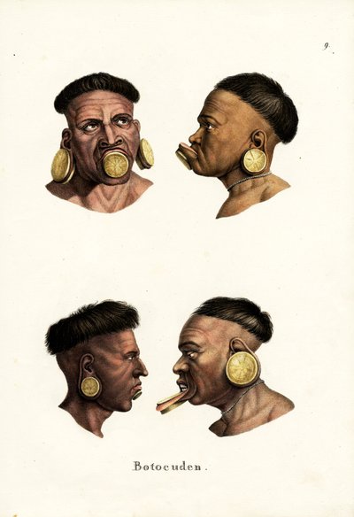 Gente Botocudo, 1824 de Karl Joseph Brodtmann